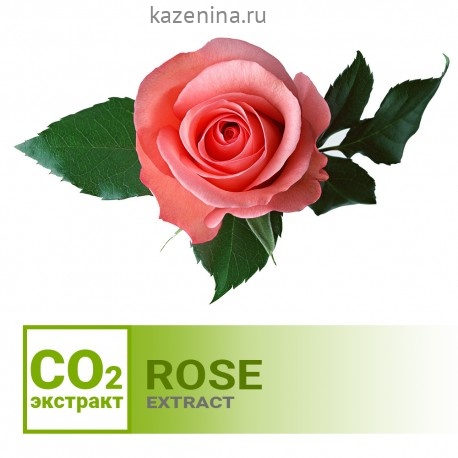 картинка Роза (цветок), СК СО2 экстракт от интернет-магазина экстрактов ООО «Лаборатория экстрактов Виктории Казениной» (ЭВКЛаб)
